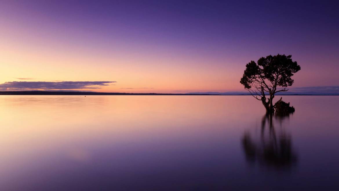 Accueil-Paysage-2-scaled.jpg