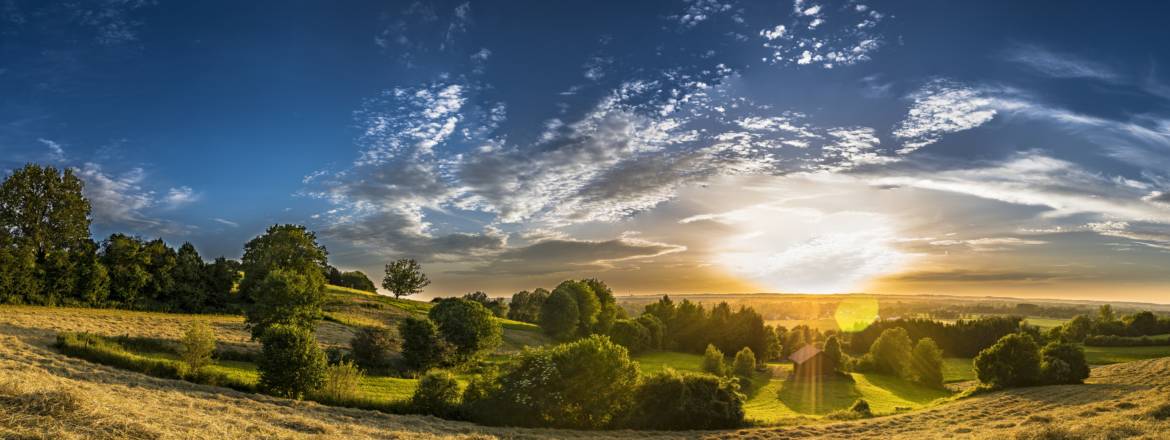 Accueil-Paysage-5.jpg