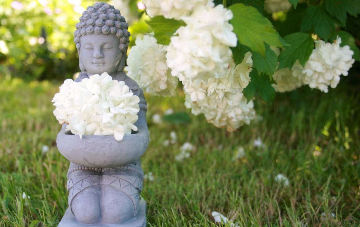 buddha-753016_1920.jpg